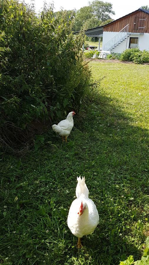 Ferienwohnung Ferrum Korbach Dış mekan fotoğraf